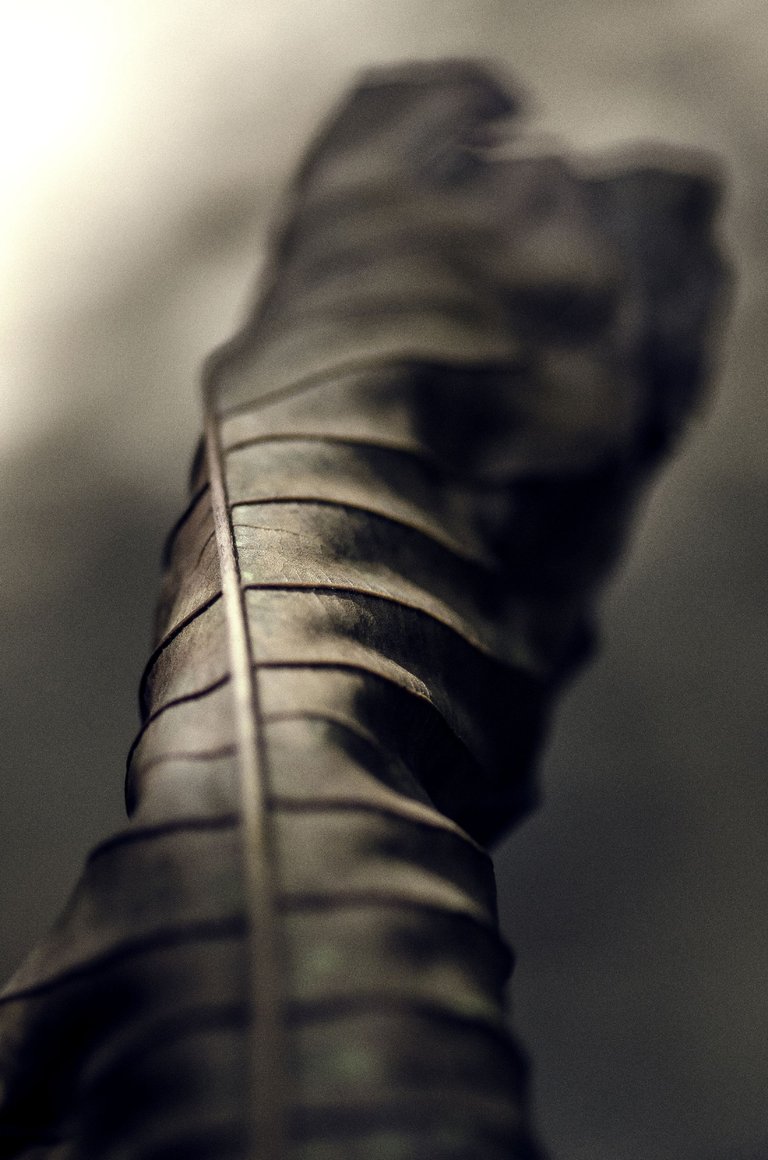 T04.jpg