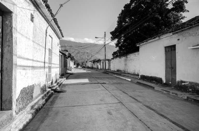 T09.jpg