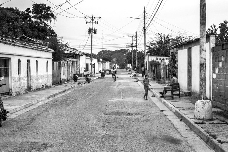 C05.jpg