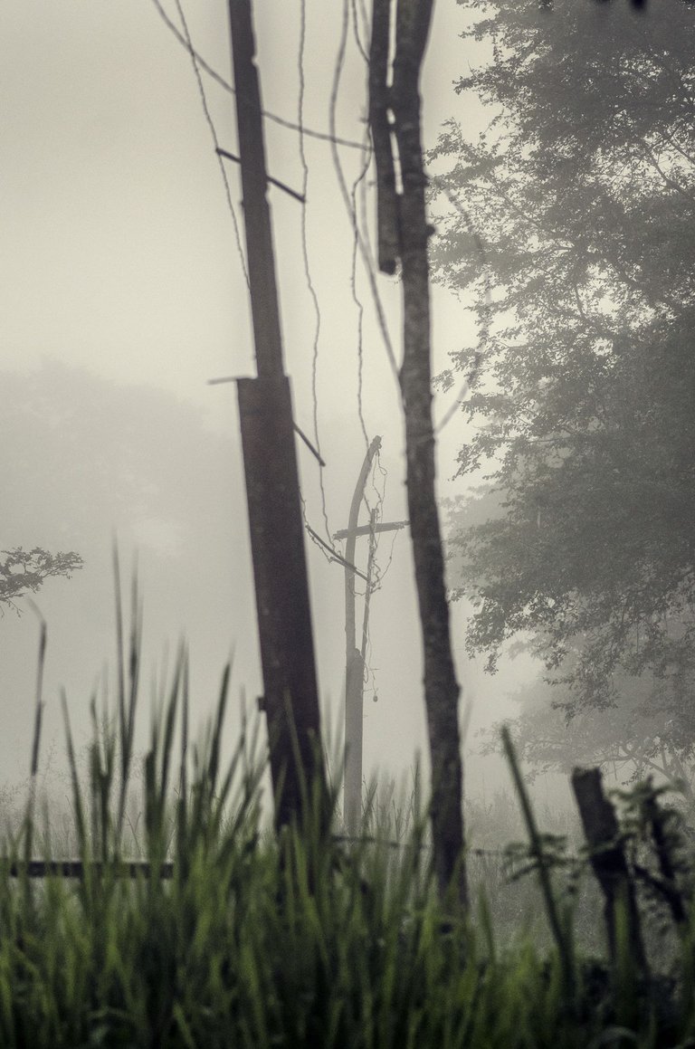 C05.jpg