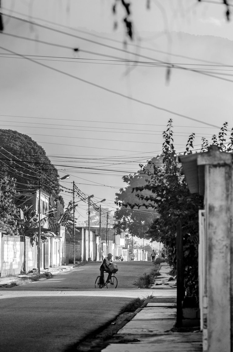 T04.jpg