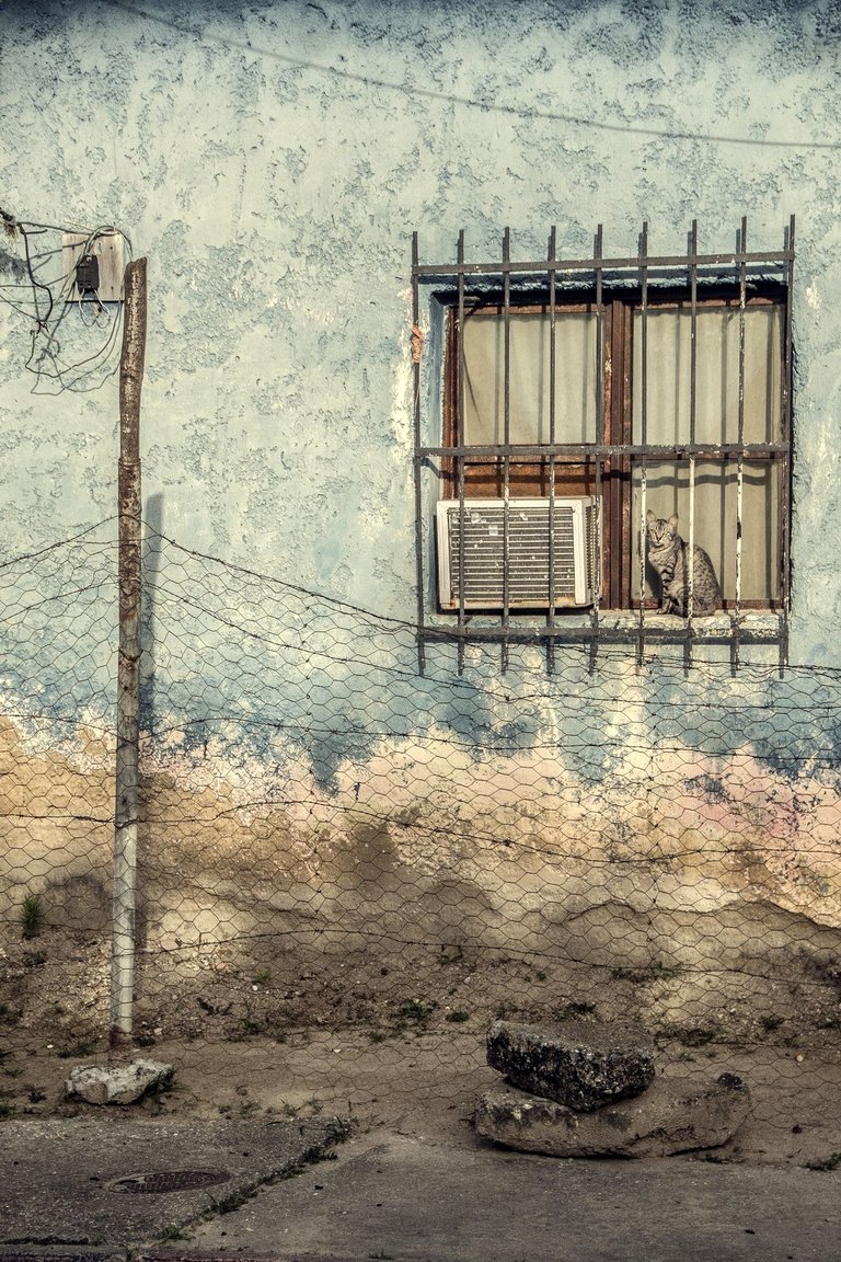 T02.jpg