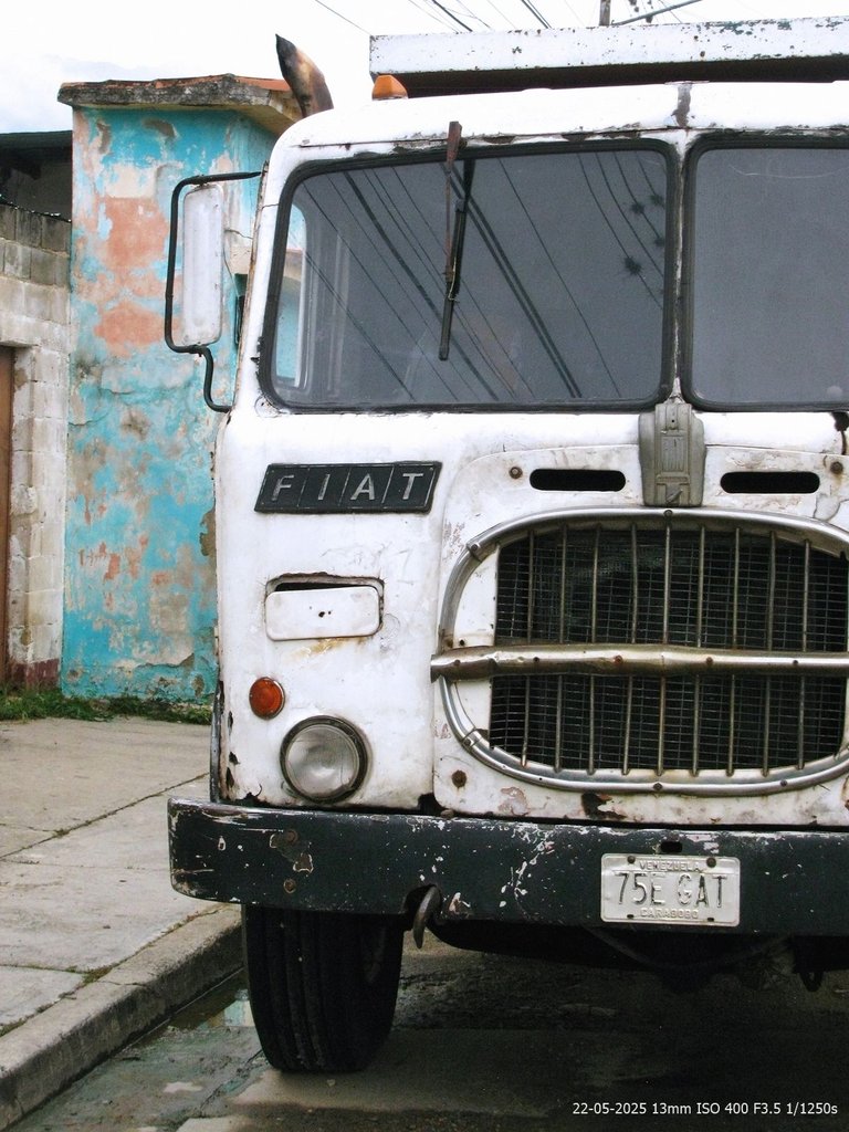 T08.jpg