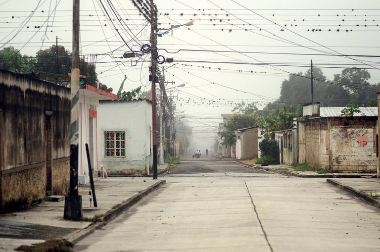 C05.jpg