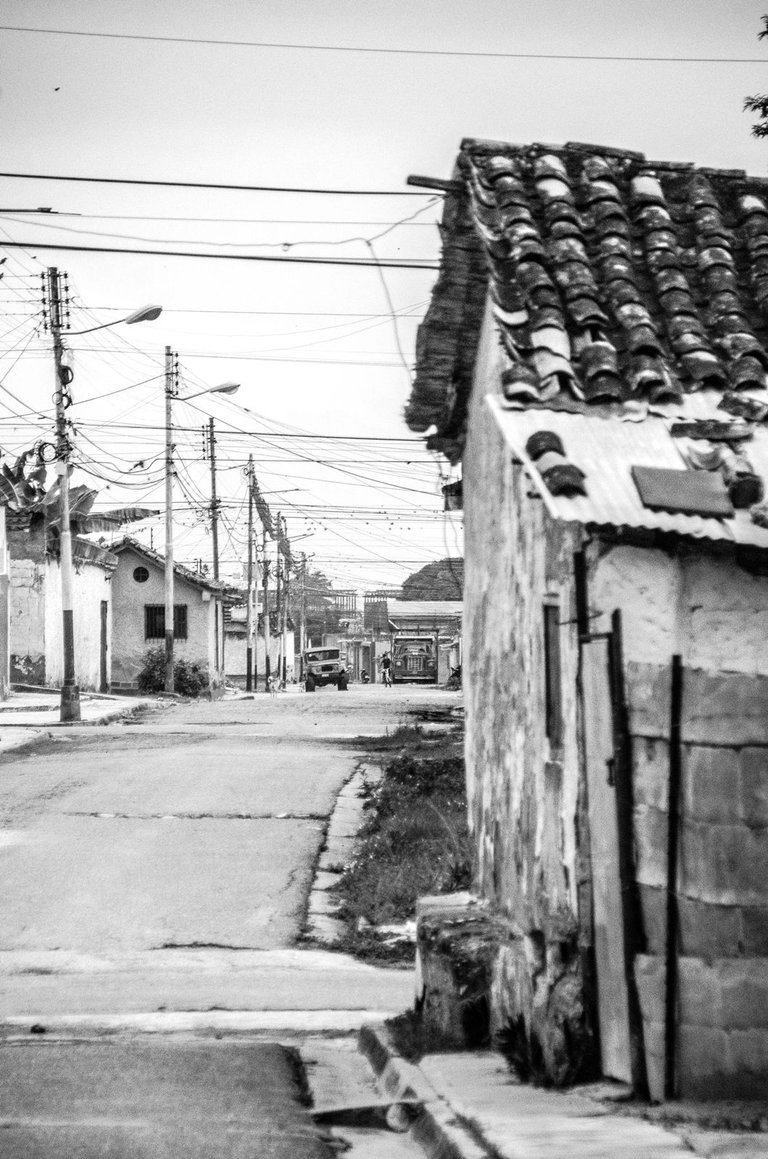 T01.jpg