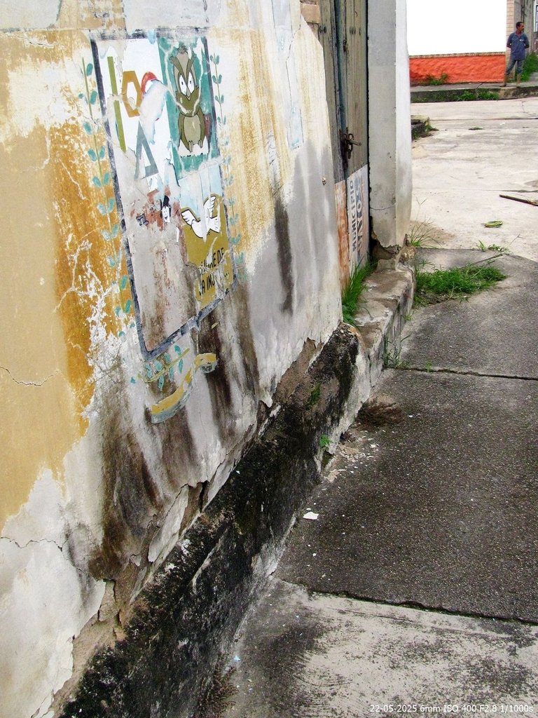 T04.jpg