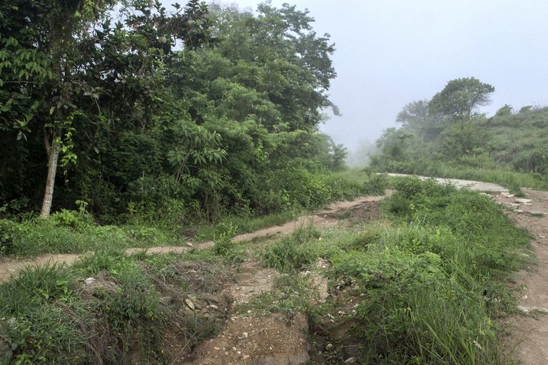 T09.jpg