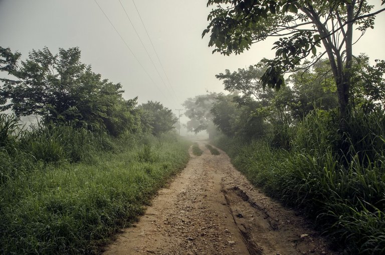 T06.jpg