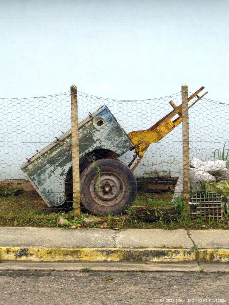T09.jpg