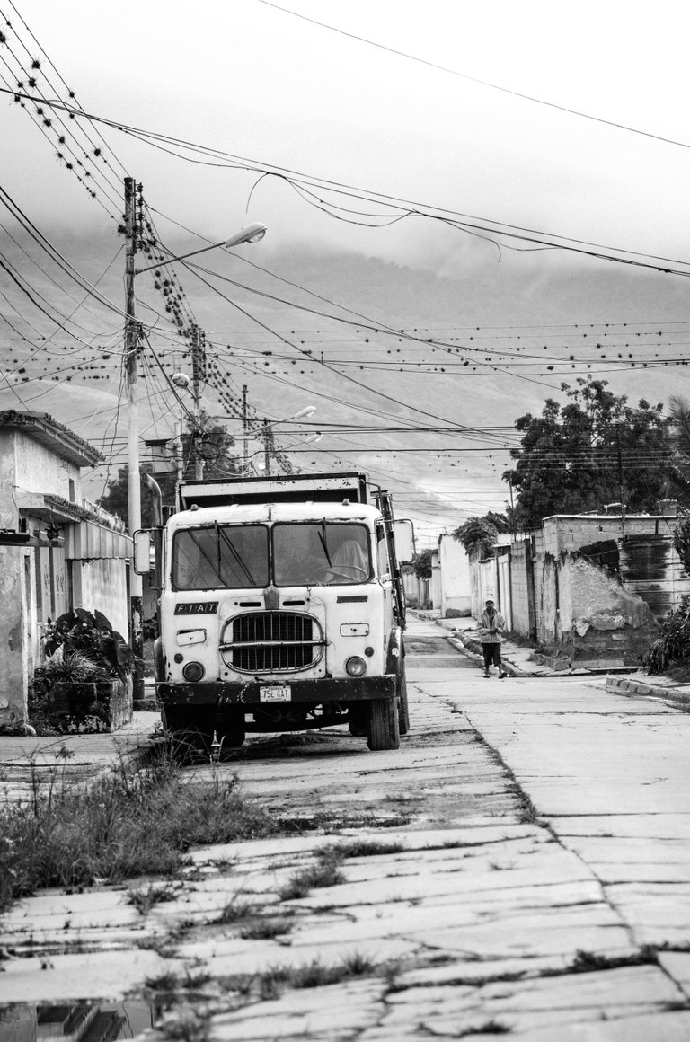 T05.jpg