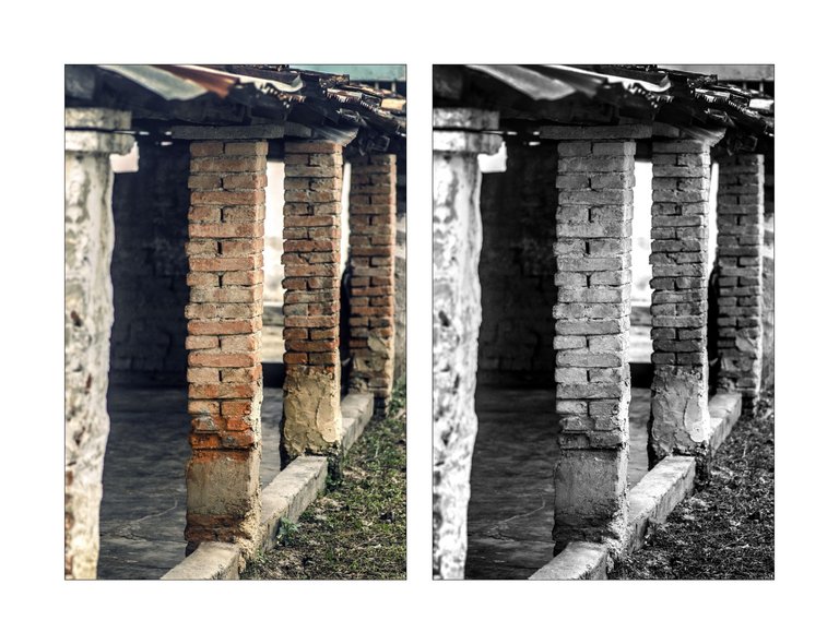 C03.jpg