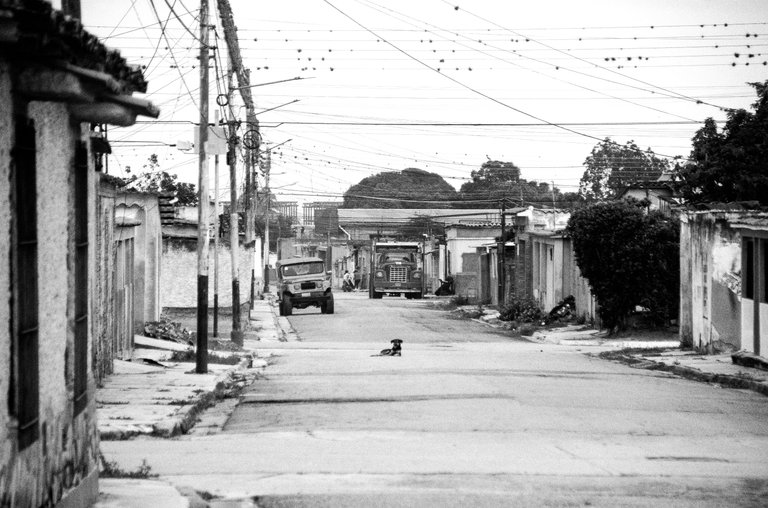 T04.jpg