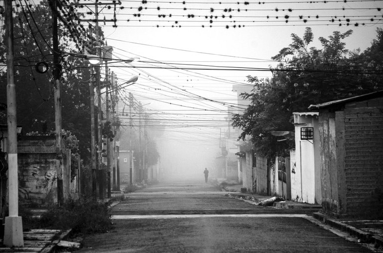T04.jpg