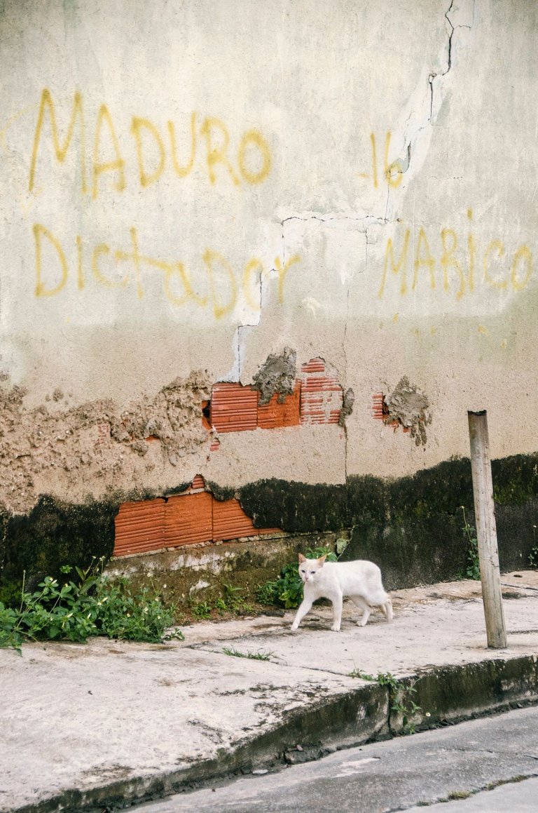 C09.jpg