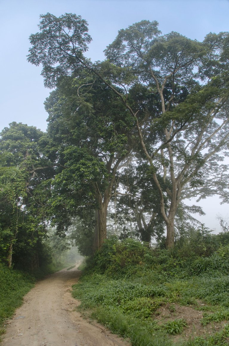 T08.jpg