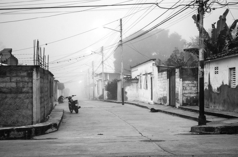 T03.jpg