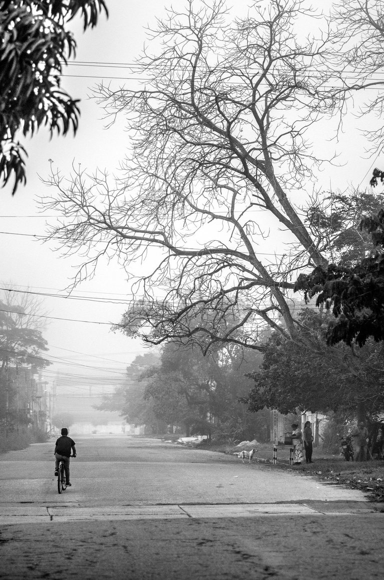 C02.jpg