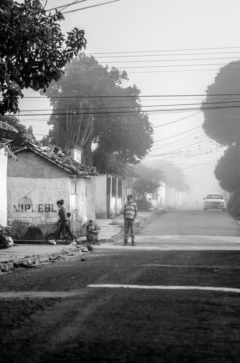 T08.jpg