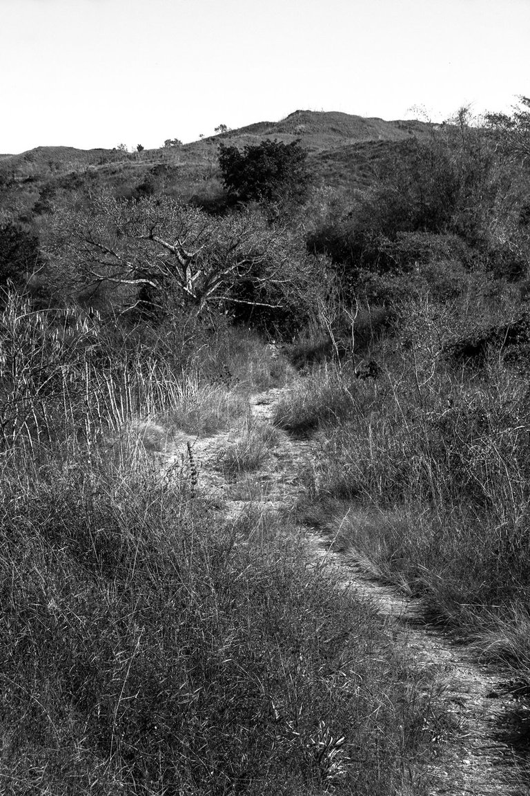 R03.jpg