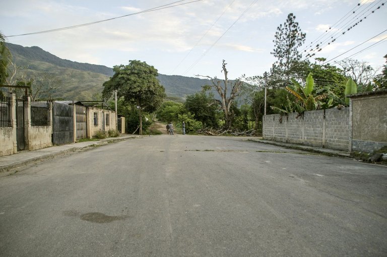 _JLP3365.jpg