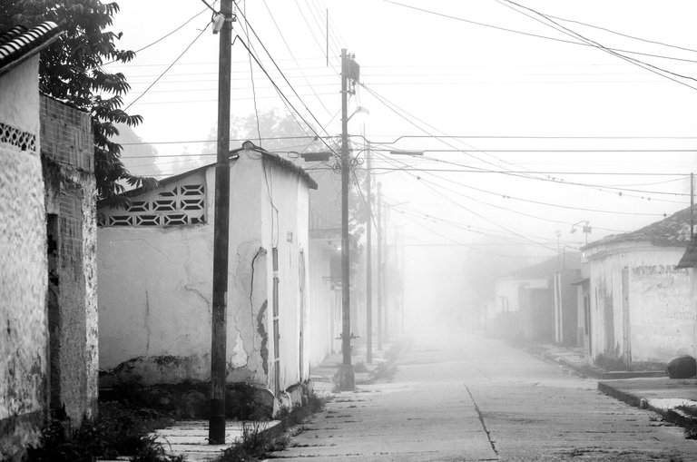 T05.jpg