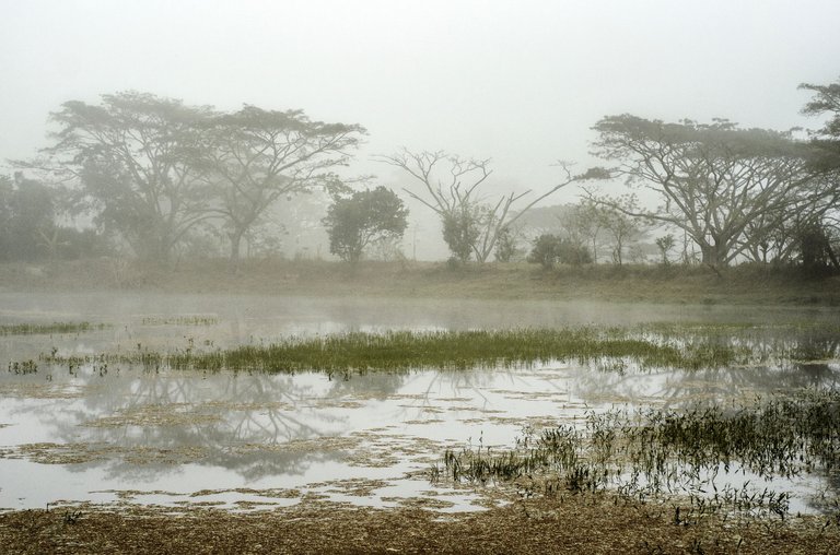 T08.jpg