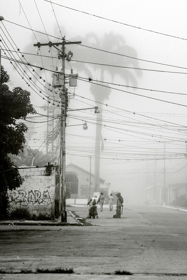 C03.jpg