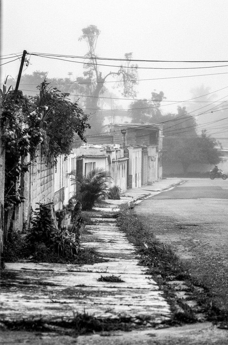 C08.jpg
