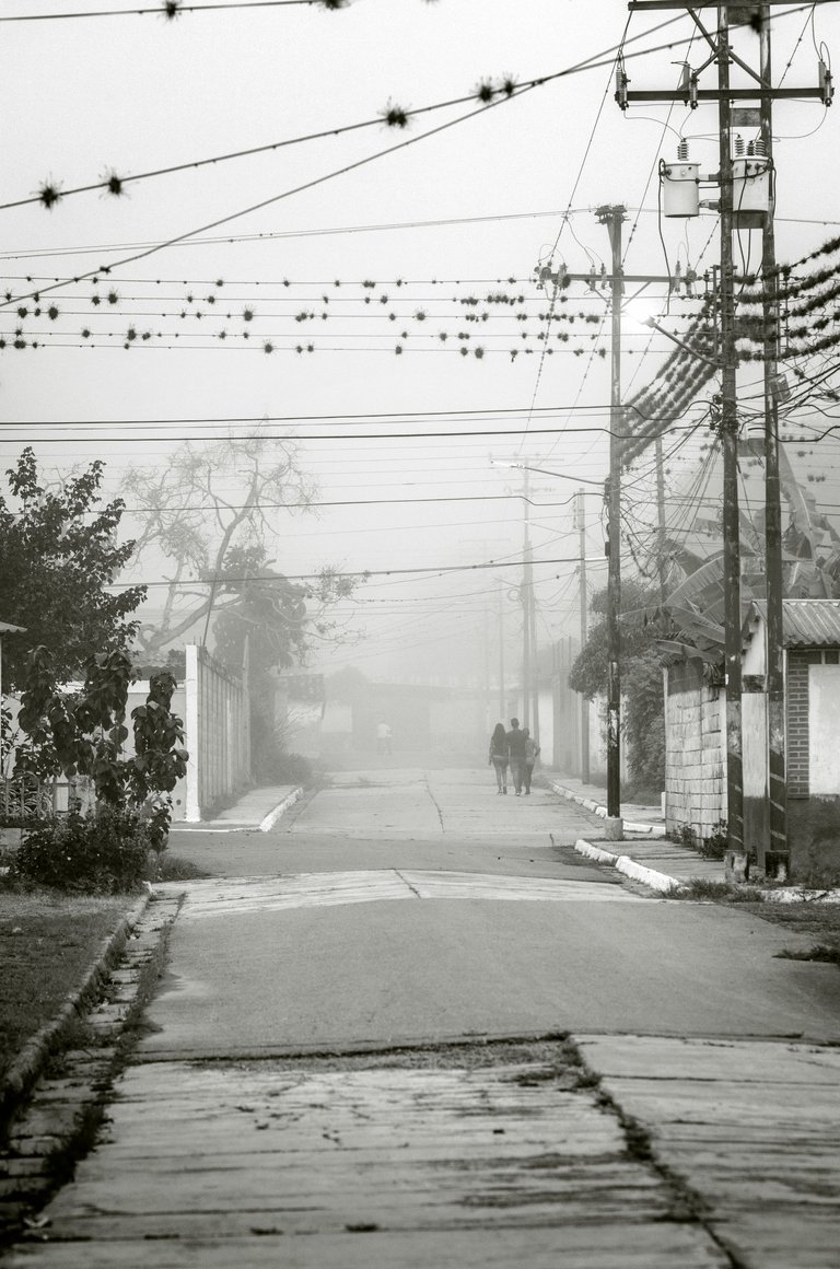 C07.jpg