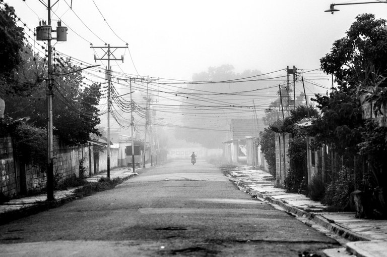 T08.jpg