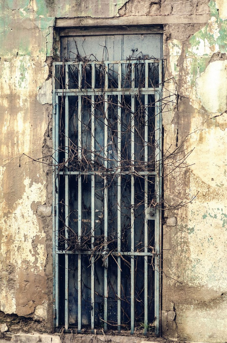 C03.jpg