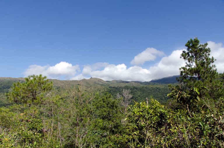 _JLP2516.jpg