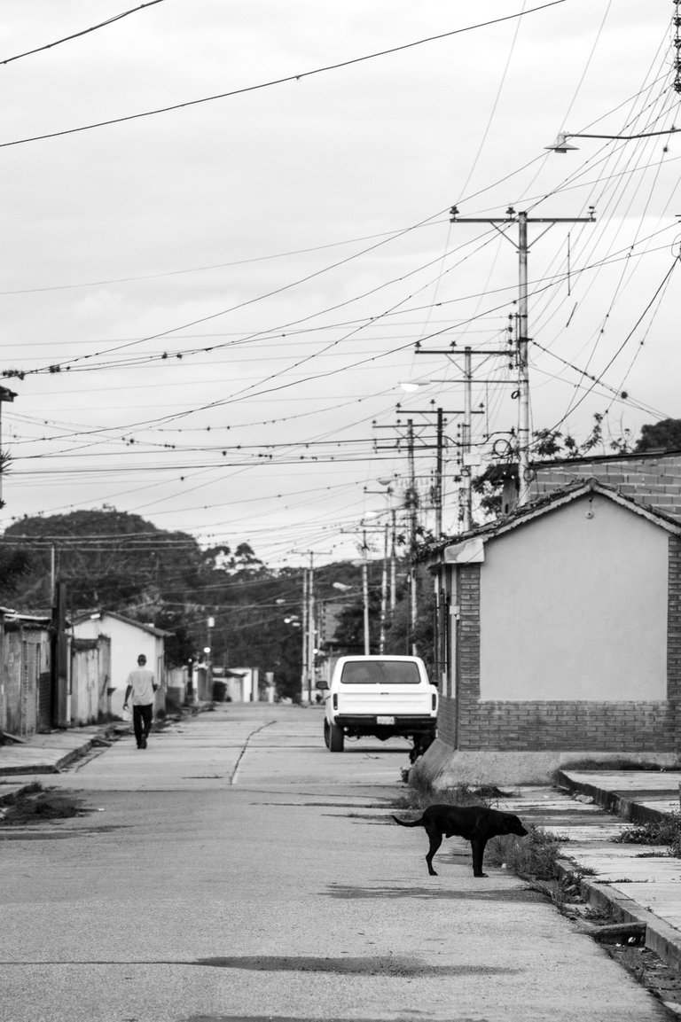 T04.jpg
