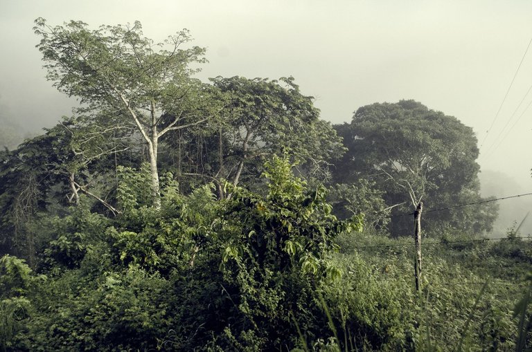 C12.jpg
