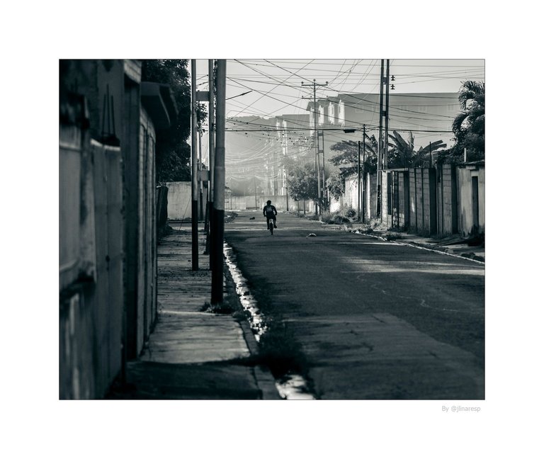 T01.jpg
