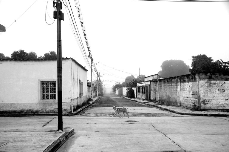 T03.jpg