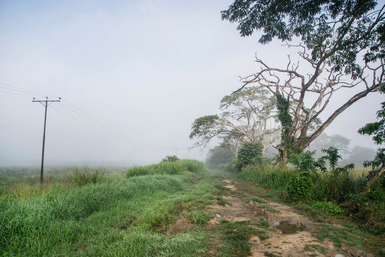 T04.jpg
