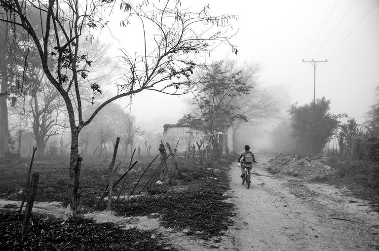 T08.jpg