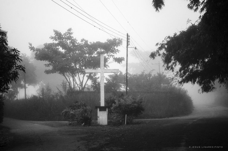 _JLP4877.jpg