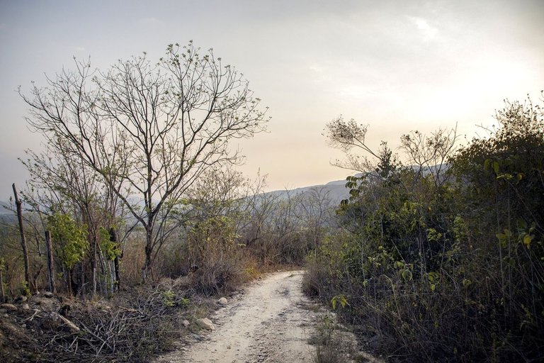 C09.jpg