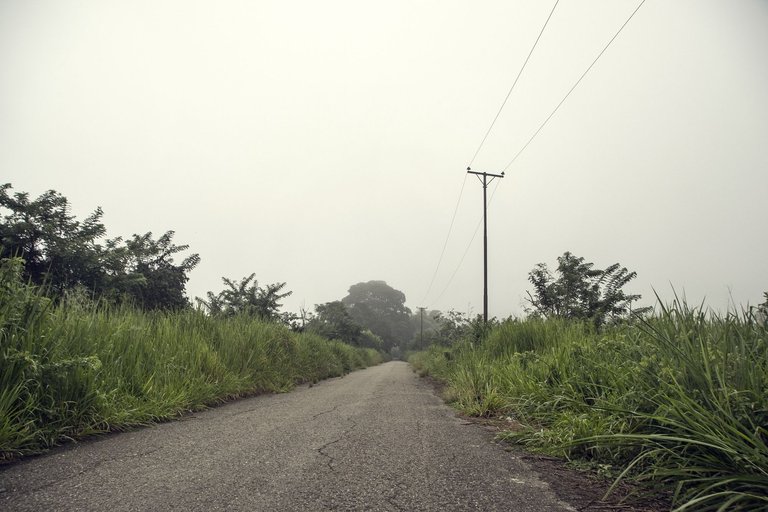 C04.jpg