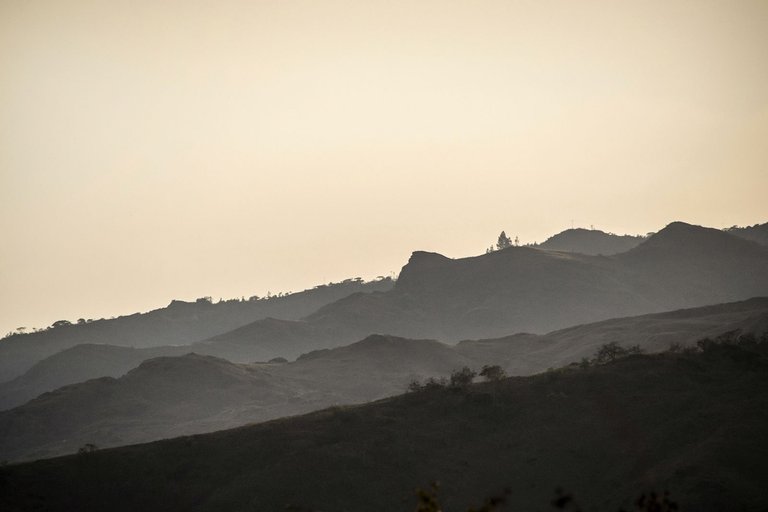 C05.jpg