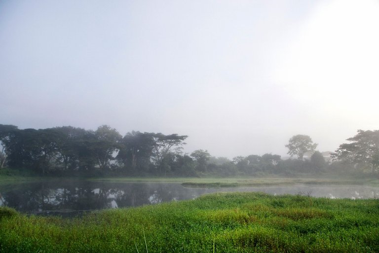 T06.jpg