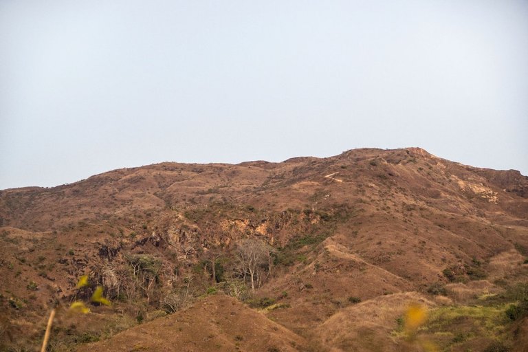 C07.jpg