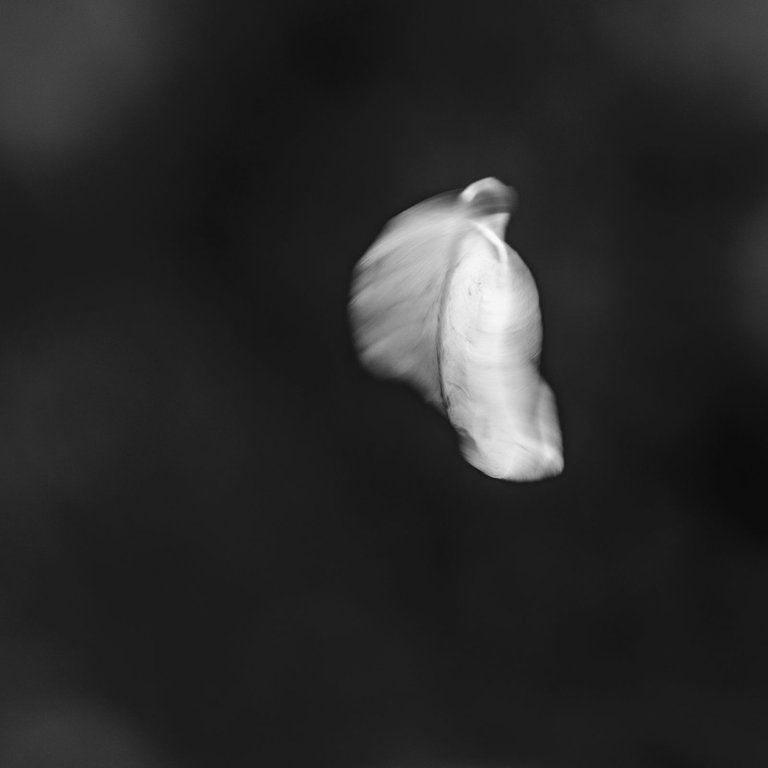 B09.jpg