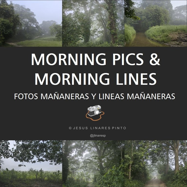 MORNING PICS & MORNING LINES || ENG-ESP || (9 Pics)