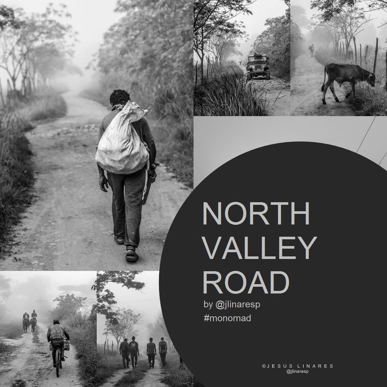 NORTH VALLEY ROAD -  MONOMAD - B&W photography from Montalbán, Carabobo, Venezuela || ENG-ESP || (12 Pics)