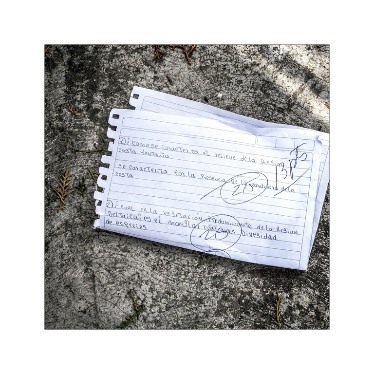 C08.jpg