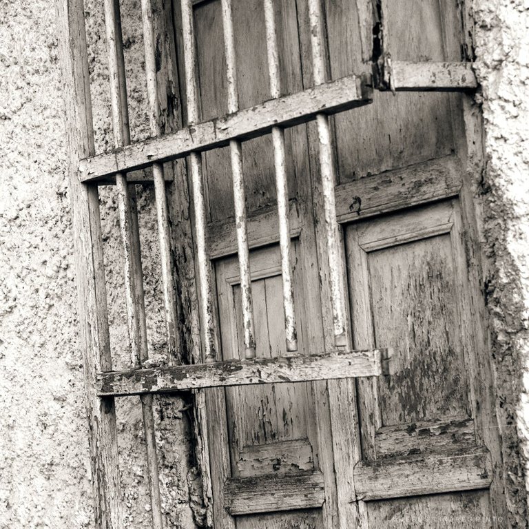 X04.jpg