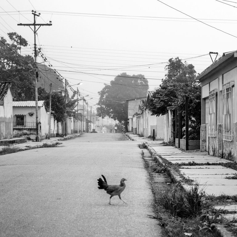 T07.jpg